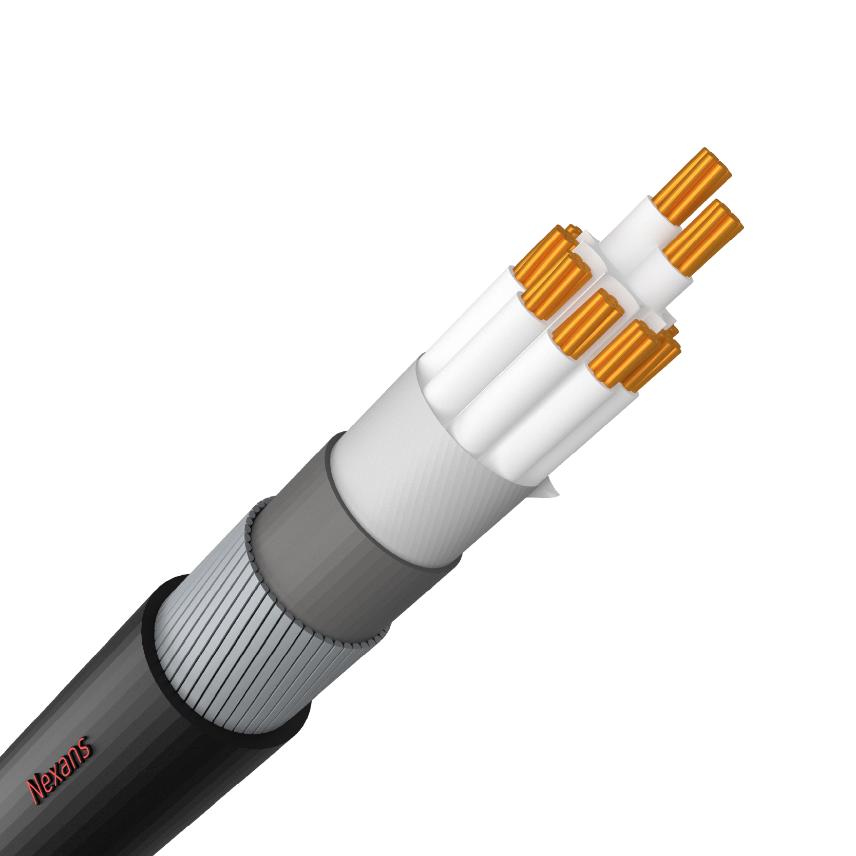 Control Cables (Armoured)